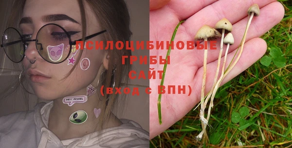 стафф Алзамай