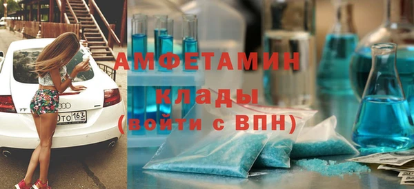 стафф Алзамай